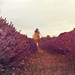 Louise Hendrix Photo 12
