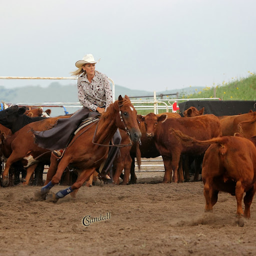 Lisa Jamison Photo 32
