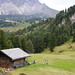 Heidi Ulrich Photo 4