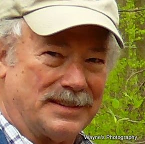 Wayne Keller Photo 20