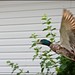 Donald Francois Photo 16