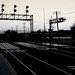 Shawn Cross Photo 13