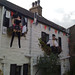 Peter Wray Photo 8