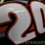 Howard Reynolds Photo 5