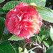 Cynthia Akin Photo 14