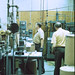 Ed Robbins Photo 11
