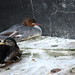 Jan Grube Photo 13