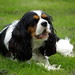 Annie King Photo 14