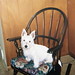 Nellie West Photo 9