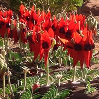 Janet Whitlock Photo 5