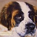 Bernard Evans Photo 12