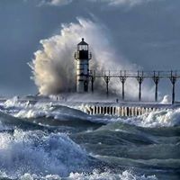 Ann Sirois Photo 5
