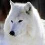 Susan Harrell Photo 24