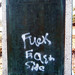 Tracey Stone Photo 6