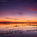 Ray Campos Photo 20