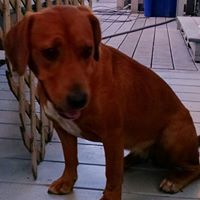 Jeff Meeks Photo 2