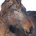 Jennifer Tremblay Photo 29