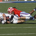 Dennis Taylor Photo 9