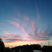 Kelly Gearhart Photo 8