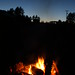 Allison Ha Photo 6