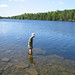 Darryl Forest Photo 8