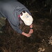 George Cline Photo 10
