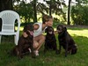 Lisa Korn Photo 32