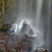 Donald Watson Photo 16