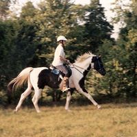 Janet Stevens Photo 38