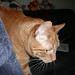 James Coon Photo 31
