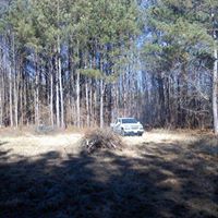 Debra Wilke Photo 4