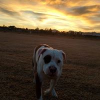 William Wilkerson Photo 18
