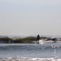 Mark Fried Photo 26