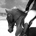 Robyn Daly Photo 6