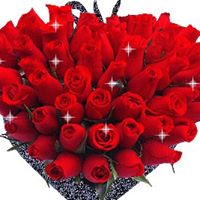 Abdul Habib Photo 28