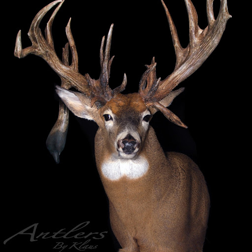 Justin Mccann Photo 30