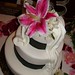 Teresa White Photo 17
