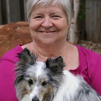 Linda Schaefer Photo 20