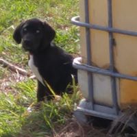 Susan Haynie Photo 8