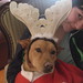 Janie Suits Photo 7