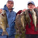 Steve Hacker Photo 8