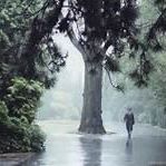 Julie Woodall Photo 10