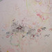 Michelle Houser Photo 20