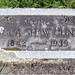 Julia Shaw Photo 44