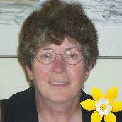 Donna Jamison Photo 3