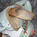 Kim Mucha Photo 3