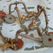 Janet Plumb Photo 12