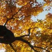 Connie Morrill Photo 10