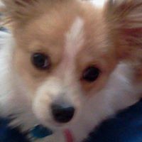 Linda Neely Photo 6