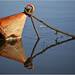 Mark Doucet Photo 8